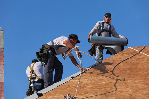 Roof Gutter Cleaning in Herald, CA